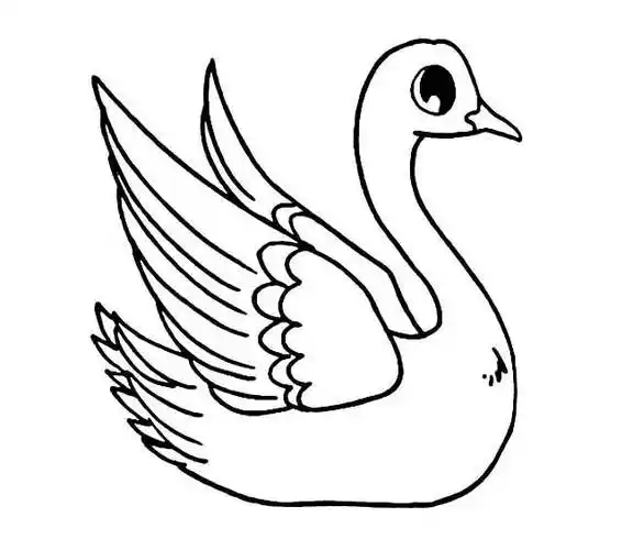 白鹅简笔画 鹅怎么画简笔画图片