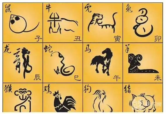 我国古代将一天24小时分为十二个时辰,与十二地支相对应,比如子时是23