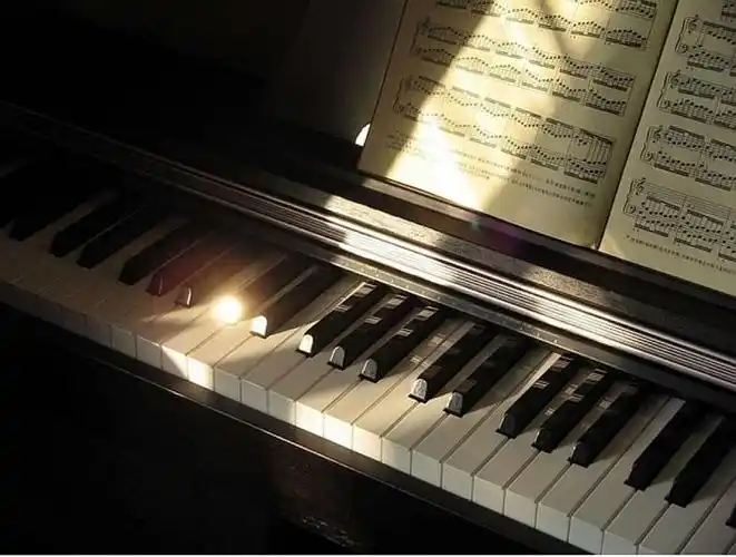 0基础成人钢琴0元体验课开始了-在线订票-互动吧