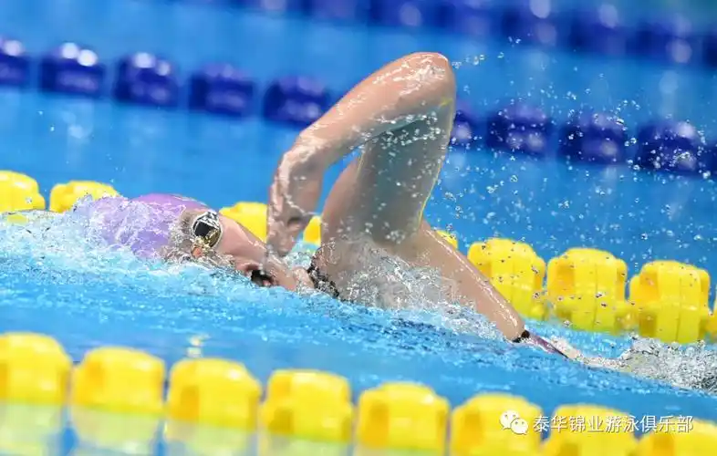 游泳知识汇自由泳保持身体平衡的两大关键