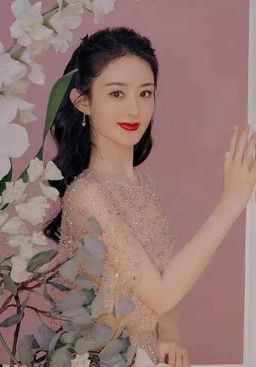 赵丽颖央视春晚笑容温婉柔美写真19