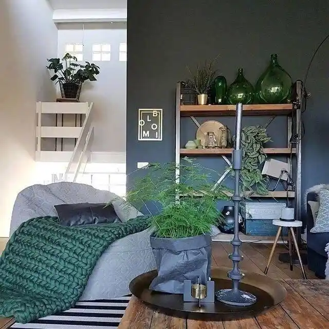 家居创意灰绿搭配