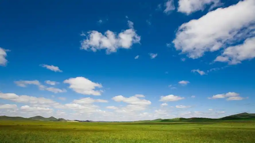 蓝天草地桌面壁纸下载 第二辑高清大图预览1920x1080_风景壁纸下载_美