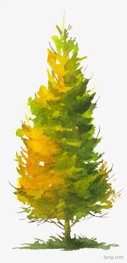 手绘水彩绿色的树木png素材透明免抠图片-装饰效果