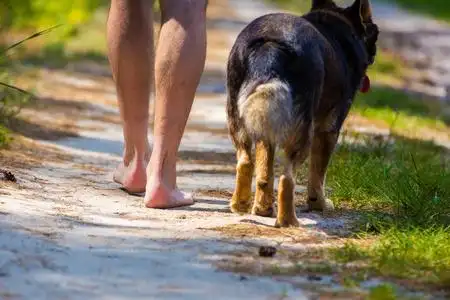 两个人走路图片