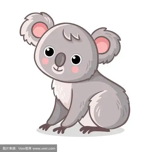 可爱的,动物,卡通,树袋熊,白色背景