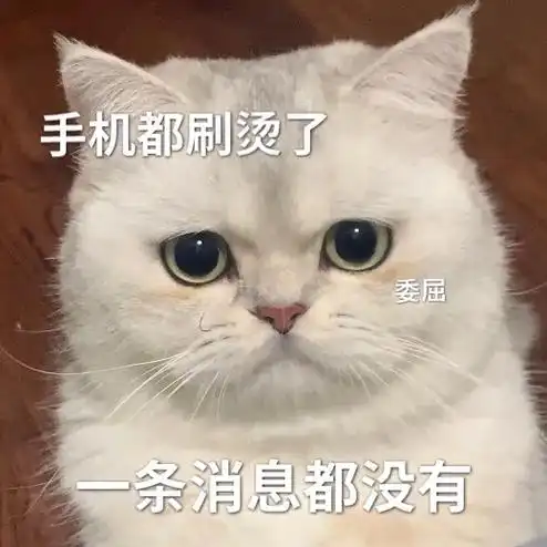 我一直都在冷宫种蘑菇啊 #表情包 #猫咪表情包 #艾特你想艾 - 抖音