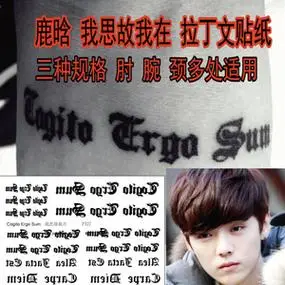 性感个性手臂手腕及时行乐我思故我在鹿晗同款纹身贴防水持久p127