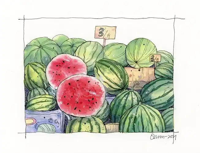 钢笔淡彩|水彩(西瓜)附线稿|纯艺术|绘画|知秋绘 - 原创作品 - 站酷