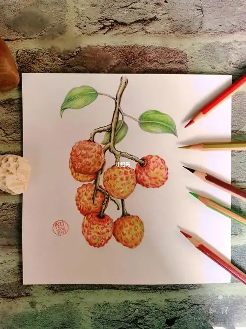 彩铅手绘:荔枝