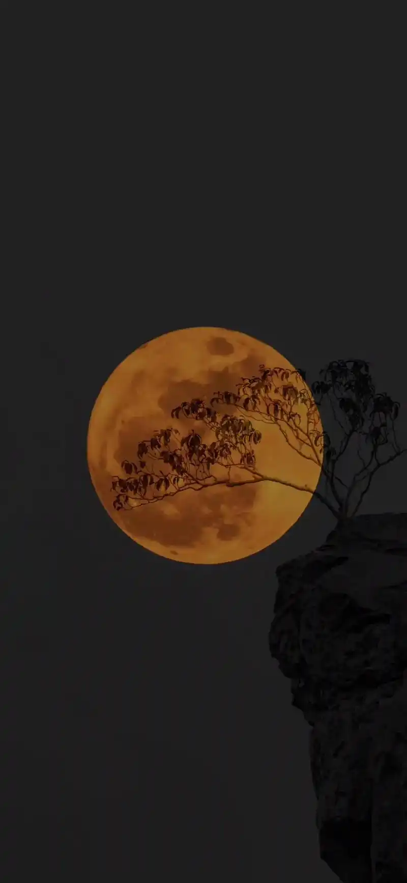 来一组月亮壁纸吧