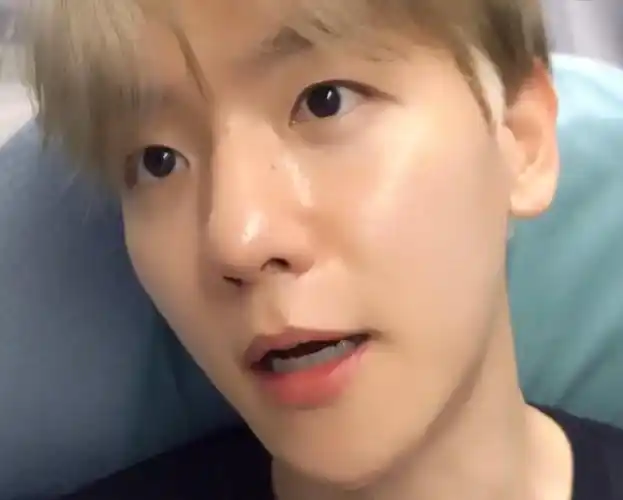 芭兰歌林代言人边伯贤