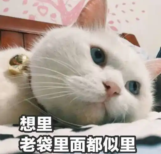 出来吧,屁眼子兽表情包 - 表情图