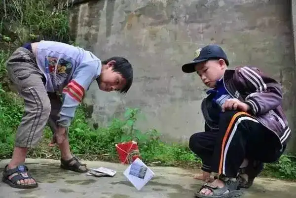 关于八零后的散文(八零后上学回忆散文) _晶羽科技