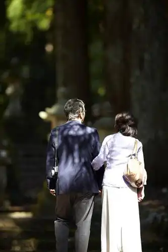 树林,植物,亚洲,勾,挽,阴影,服装,朦胧,模糊,光线,影子,树桩,浪漫