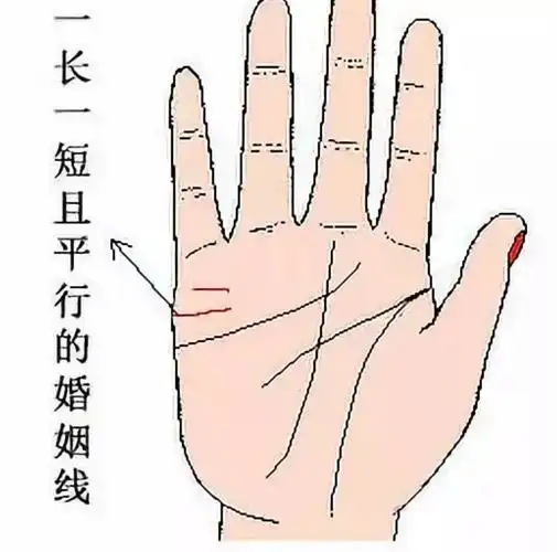 男人手掌看婚姻线图解(男人手相看婚姻看左手还是右手)