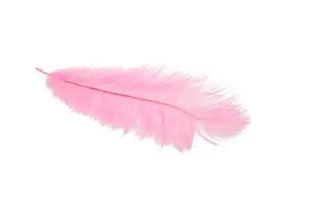 天鹅绒毛素材白色的粉红色的绒毛羽毛照片