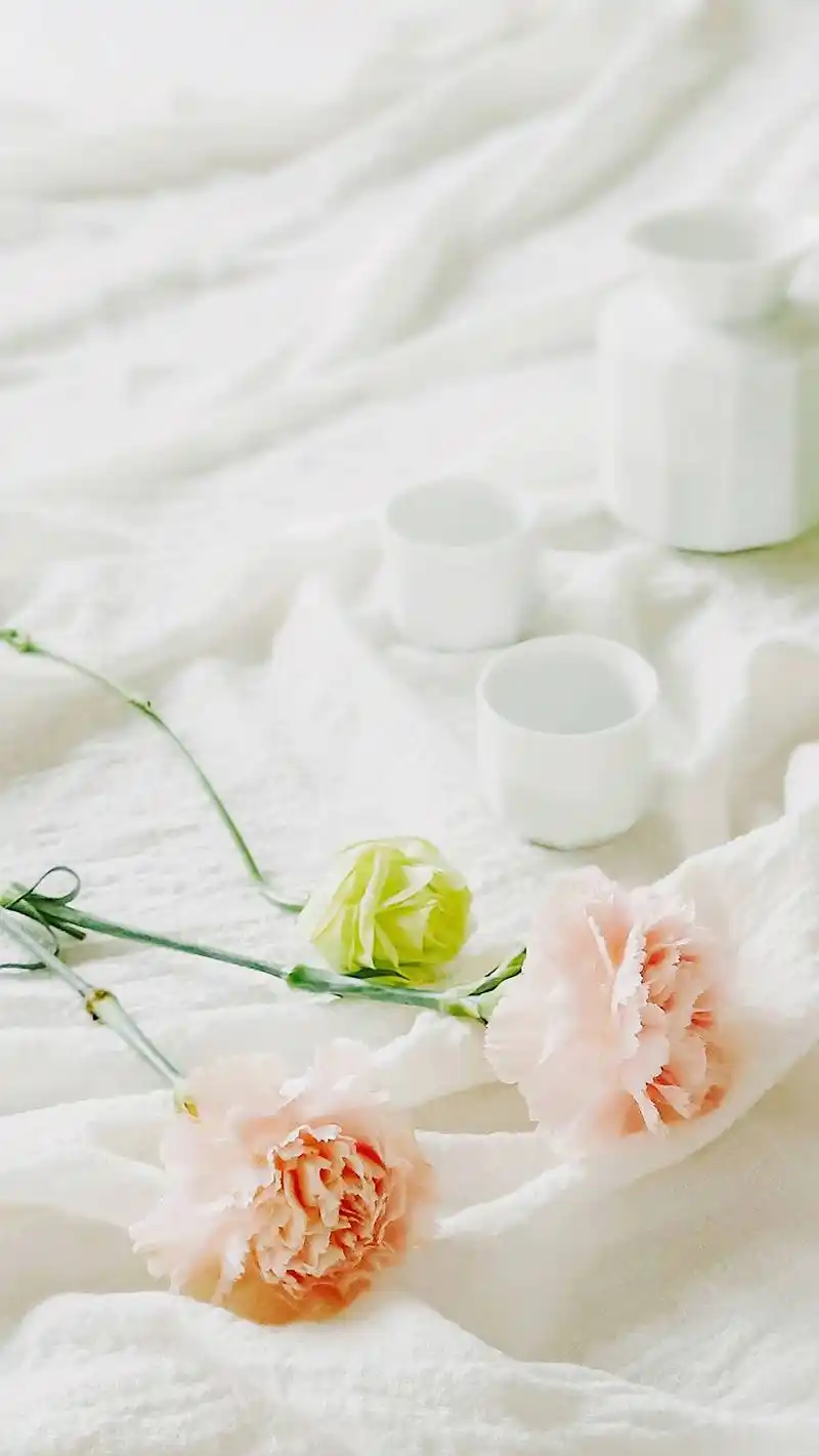 小清新养眼绿色高清手机壁纸