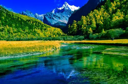 淘帖  点赞  微信