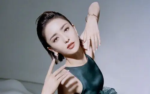 佟丽娅超a背头高清桌面壁纸