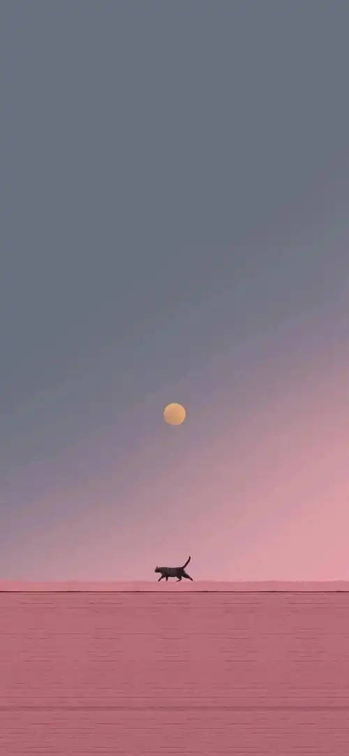 锁屏壁纸套图日出而作日入而息的肥咪