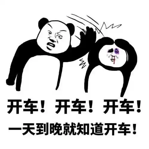 熊猫头受伤开车开车开车一天到晚就知道开车gif动图_动态图_表情包