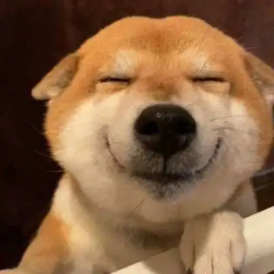 情侣头像呆萌两张配对可爱头像