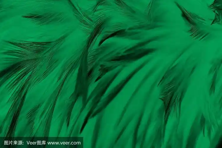 美丽的深绿色,绿松石复古色趋势羽毛纹理背景
