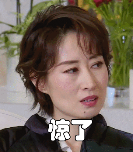 万水千山总是情围观神仙吵架可还行