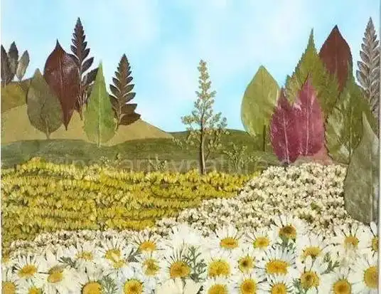 漂亮的树叶贴画图片,风景