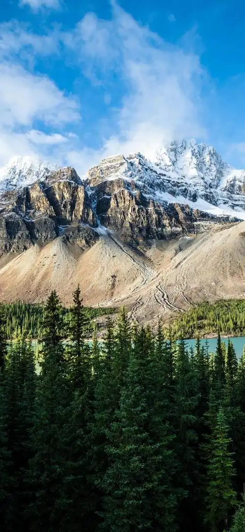 小清新壁纸慢也好步子小也好往前走就好