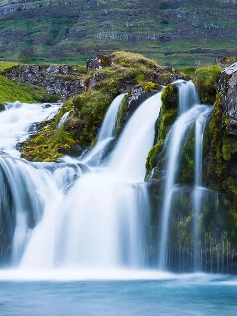 头像 头像分享 头像约稿 头像壁纸 大力招财