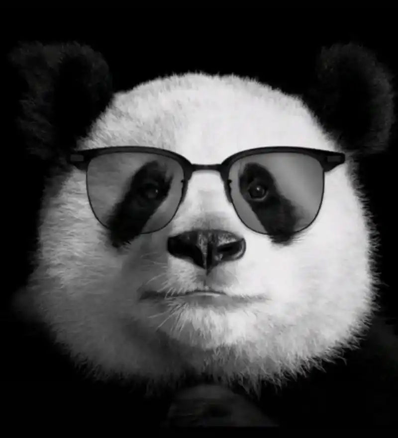 个性微信男头像 - 抖音