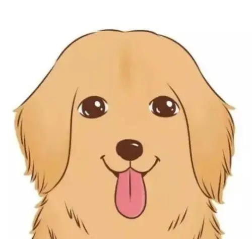 weibo 一对儿狗狗 情侣头像 金毛 手绘 卡通 可爱