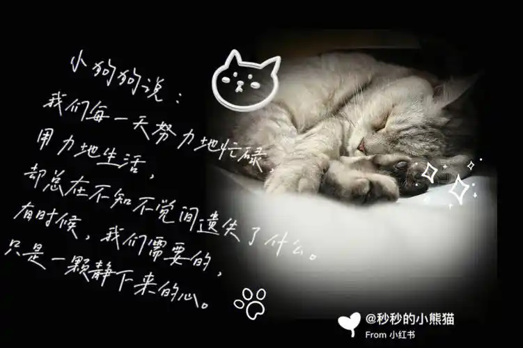 34岁裸辞职场反思no1少说话