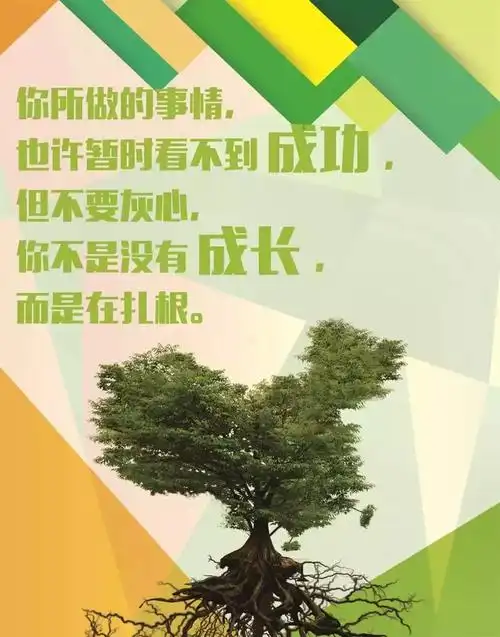 对命运不服输的句子励志不服输名言名句