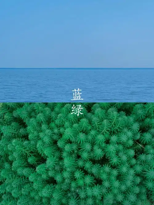 蓝色,绿色.#蓝色系  #绿色  #摄影