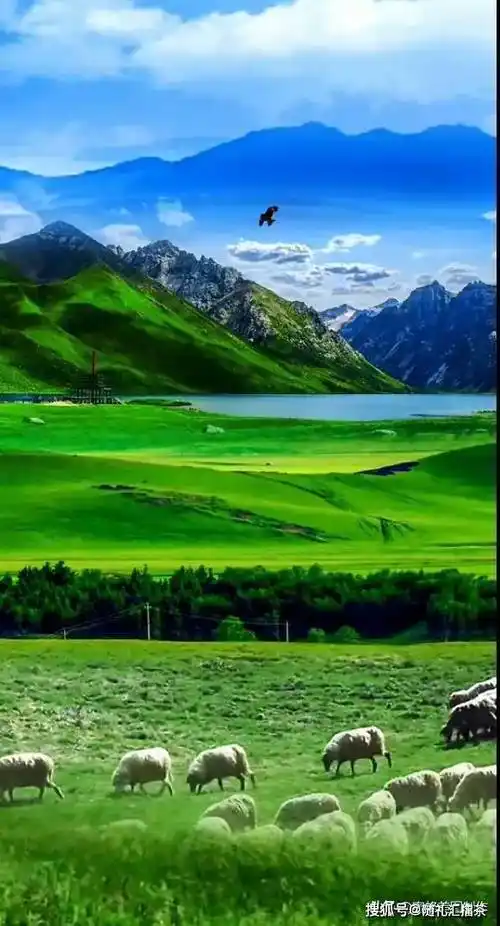 最能治愈人心的,便是这世间的美景_生活_大自然_青山绿水