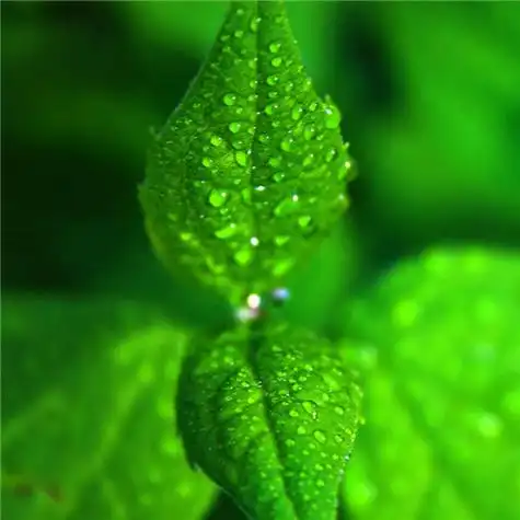 给人一种阳光的头像 高清好看充满阳光朝气的微信头像图片_微信头像