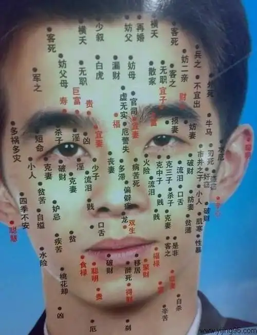 一,下巴有痣下巴上的痣主财富,男人下巴四周有痣,说明财富伴随一生.