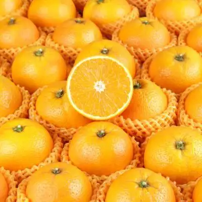 秭归夏橙薄皮橙子水果新鲜应季整箱批发现摘现发黄心多肉甜橙水果