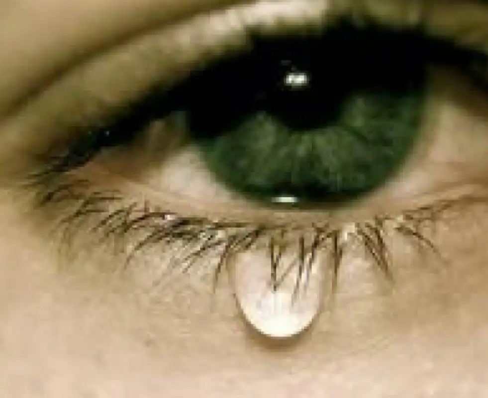 至少很多人有过高光时刻,而我小学初中高中大学,没