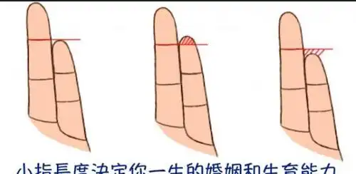 手上的子女线就能看出你一生会有几个孩子超级准