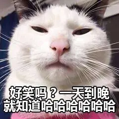 天到_天到表情包大全_斗图大全