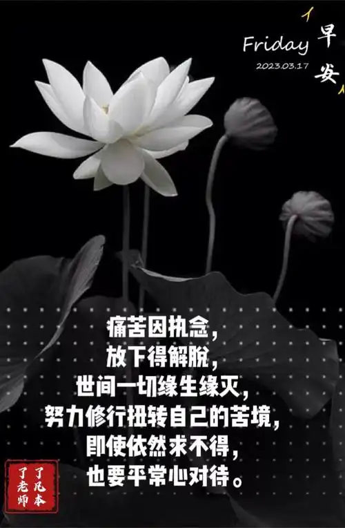 心身健康|预防乳腺癌,从修心开始 - 简书