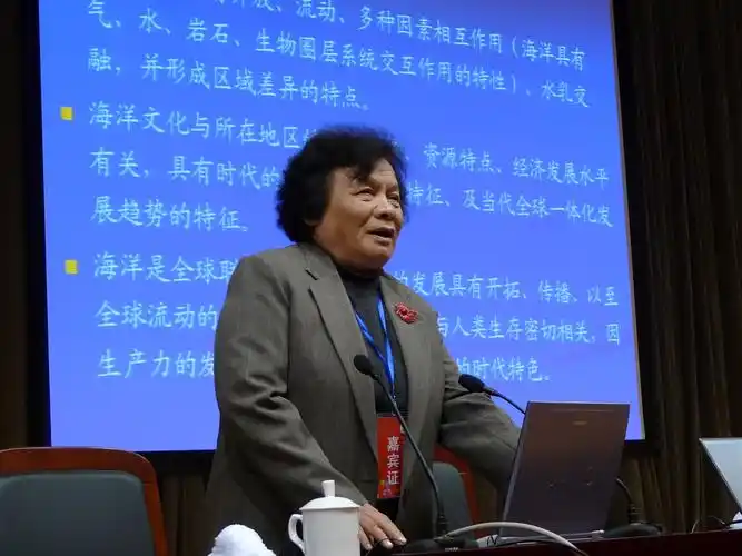 王颖院士作报告