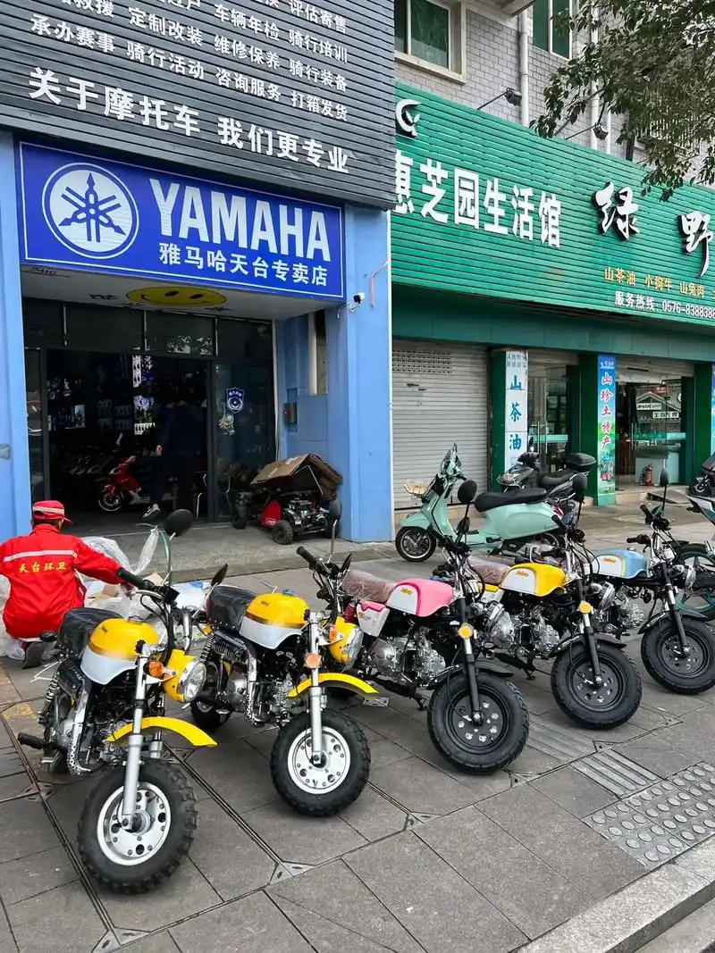 金城小猴子 悟空.金城迷你系列金城小猴子 金城悟空#关注我 - 抖音