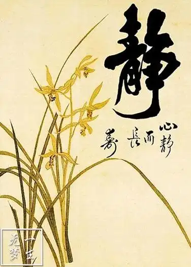 396_555竖版 竖屏