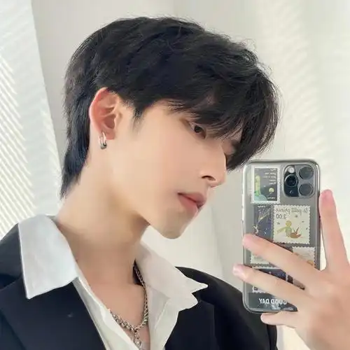 学生 齐碎刘海_假发男微分碎盖头韩版帅气齐刘海学生头蓬松透气网红