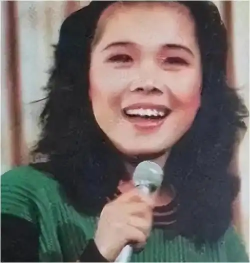 颁奖礼上掀翻风云田震摔话筒与那英撕破脸现状引热议